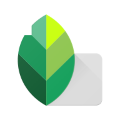 Download Snapseed 2.22.0.633363672 APK Download by Google LLC MOD