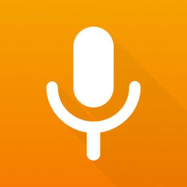SIMPLE VOICE RECORDER visual data 3