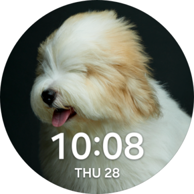 66a1adb6941ca_com.samsung.android.watch.watchface.myphoto-384x384.png