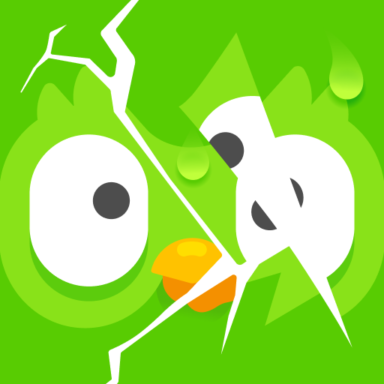 674eaf45ed895_com.duolingo-384x384.png