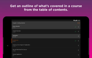 Pluralsight 3.0.1 Pluralsight 3.0.1