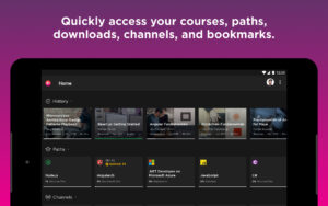 Pluralsight 3.0.1 Pluralsight 3.0.1