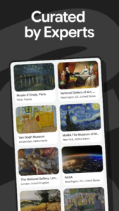 Google Arts & Culture 9.5.1 Google Arts & Culture 9.5.1