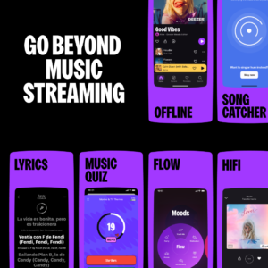 Deezer: Music & Podcast Player 8.0.35.3 beta