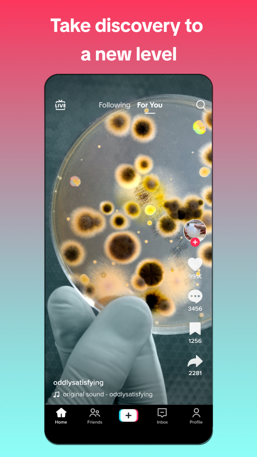 TikTok 36 5 4 (arm64 v8a arm v7a) (120 640dpi) (Android 5 0 ) APK TikTok 36 5 4 (arm64 v8a arm v7a) (120 640dpi) (Android 5 0 ) APK