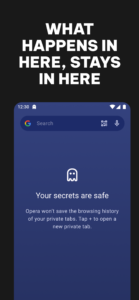 Opera browser with VPN 86.0.4550.82358 (x86) (480dpi) (Android 8.0+)