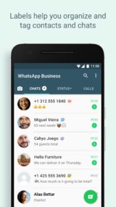 WhatsApp Business 0.0.58 beta (Android 4.0.3+)