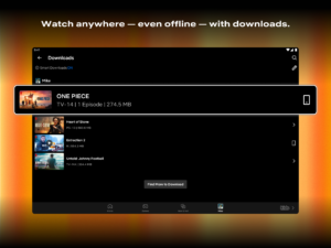 Netflix 8.133.0 build 5 50847 beta