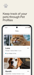 Whisker 1.20.0