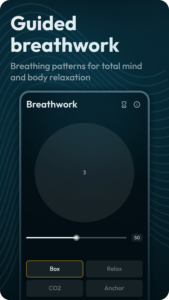 Binaural Beats Brainwaves 7.0362 Binaural Beats Brainwaves 7.0362