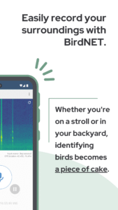 BirdNET: Bird sound identification 1.96