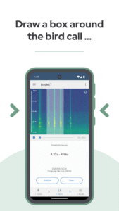 BirdNET: Bird sound identification 1.96