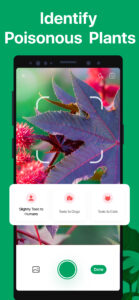 PictureThis - Plant Identifier 3.25 PictureThis - Plant Identifier 3.25