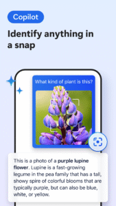 Microsoft Edge Canary 130.0.2826.0 (arm-v7a) (Android 8.0+)