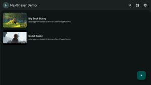 Next Player (f-droid version) 0.19.0