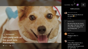 TikTok for TV (Fire TV) (Android TV) 12.3.4.1
