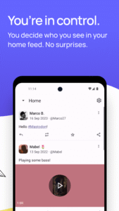 Mastodon 2.9.6