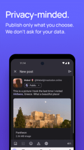 Mastodon 2.9.6