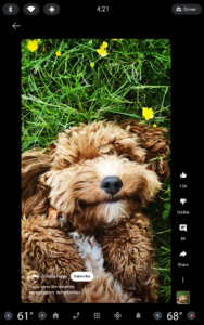 YouTube (Android Automotive) 2.173.714105954