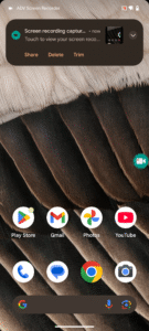 ADV Screen Recorder 4.17.10