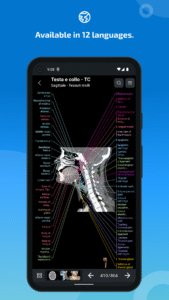 IMAIOS e-Anatomy 7.10.0