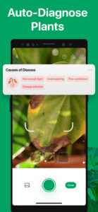 PictureThis - Plant Identifier 3.25 PictureThis - Plant Identifier 3.25