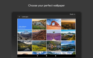 Google Wallpapers 16 (noarch) (Android 16+)