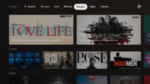 Google TV Home (Android TV) 1.0.360255370 (noarch) (320dpi) (Android 9.0+)