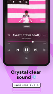 Napster 8.3.32.1172