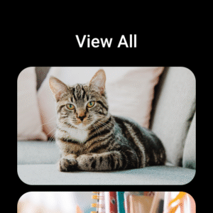 KakaoTalk : Messenger 25.4.1