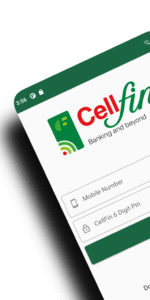 CellFin 3.3.0