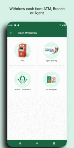 CellFin 3.3.0