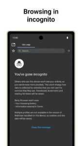 Berry Browser 3.78.71
