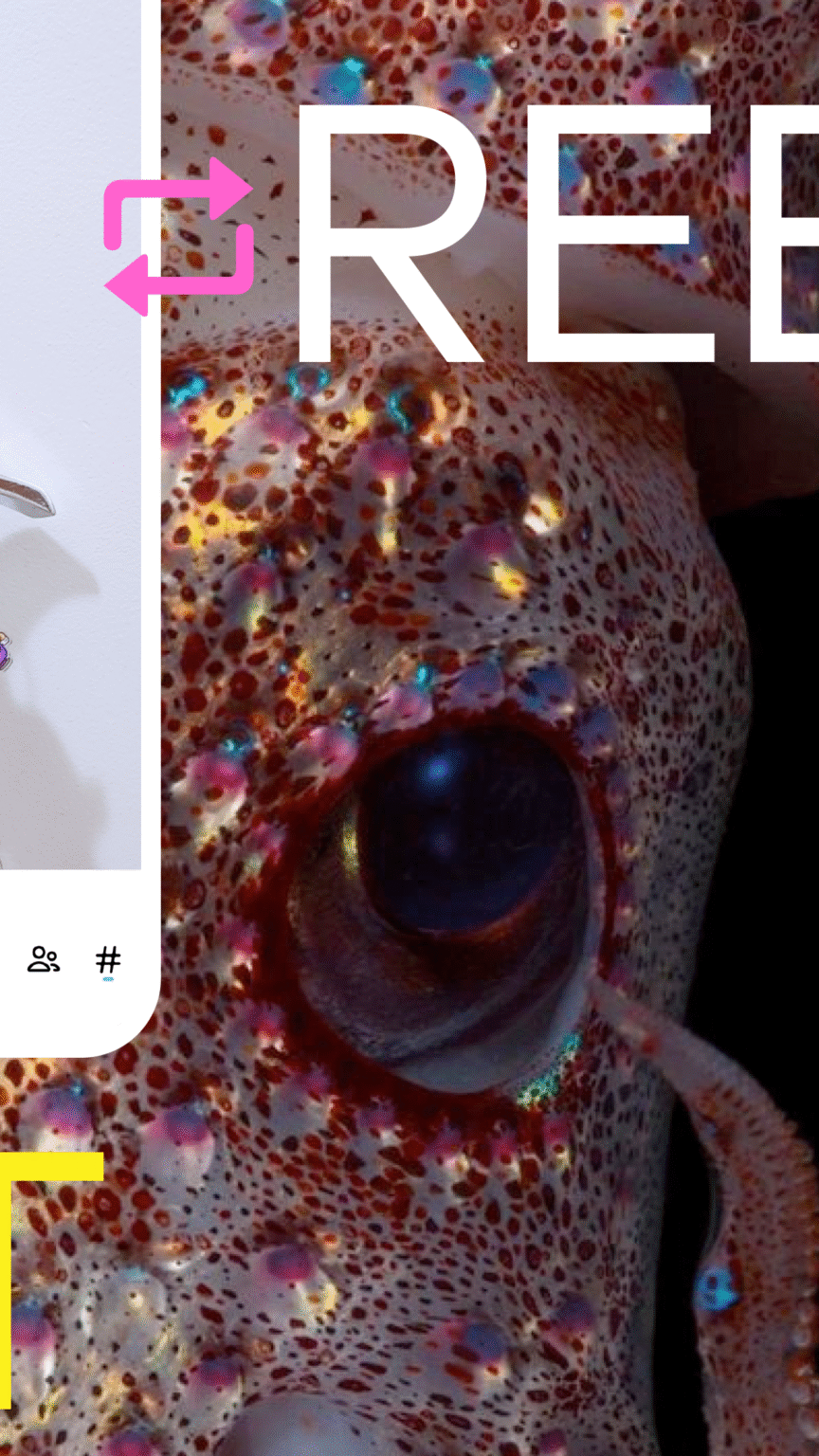 Tumblr Fandom Art Chaos 3 6 3 11 (noarch) (nodpi) (Android 4 0 ) APK