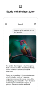 Grok - AI Assistant 0.5.20 (120-640dpi)