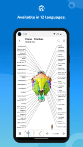 IMAIOS vet-Anatomy 4.11.0