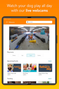 Dogtopia 2.0.9 (120-640dpi) (Android 10+)