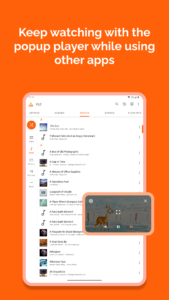 VLC for Android 3.0.13 (x86_64) (nodpi) (Android 2.3+)