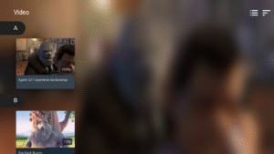 VLC for Android 3.0.13 (x86_64) (nodpi) (Android 2.3+)