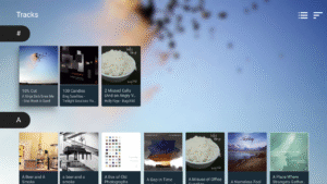 VLC for Android 3.0.13 (x86_64) (nodpi) (Android 2.3+)