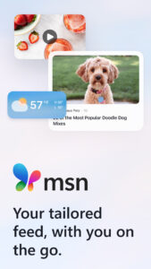 MSN 31.8.430528014 beta (arm64-v8a) (120-640dpi) (Android 11+)