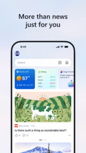 MSN 31.8.430528014 beta (arm64-v8a) (120-640dpi) (Android 11+)