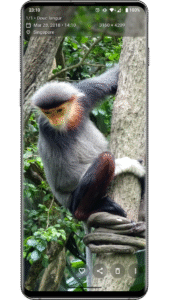 Aves Gallery 1.13.1 (120-640dpi) (Android 5.0+)