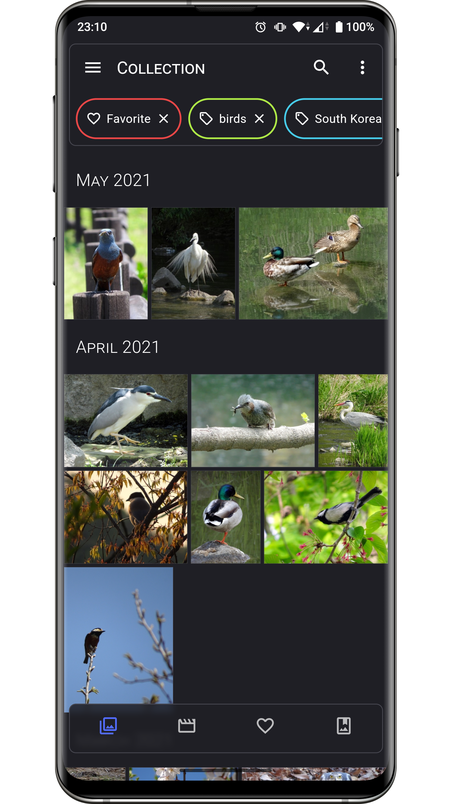 Download Aves Gallery APKs for Android - APKMirror