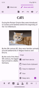 Text Editor 3.0.b154 beta