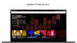 MUBI: Curated Cinema (Amazon Appstore Fire TV and Tablet version) 66.0