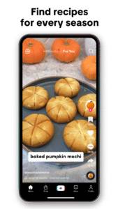 TikTok 10.0.4 (arm64-v8a) (nodpi) (Android 4.1+)