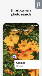 Yandex with Alice (beta) 25.60