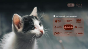 Projectivy Launcher (Android TV) 4.72 Projectivy Launcher (Android TV) 4.72