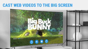 Web Video Caster Receiver 2.1.1